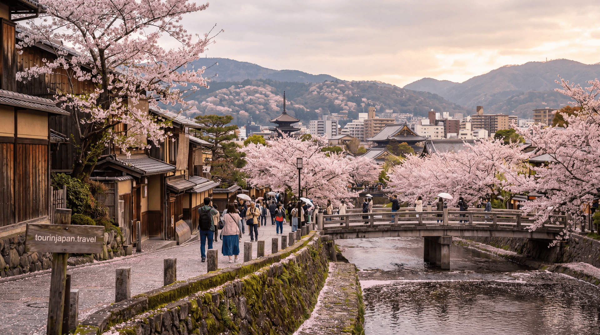 Featured image for Japan Cherry Blossom 2026 Forecast: Dates by City with discreet tourinjapan.travel mark