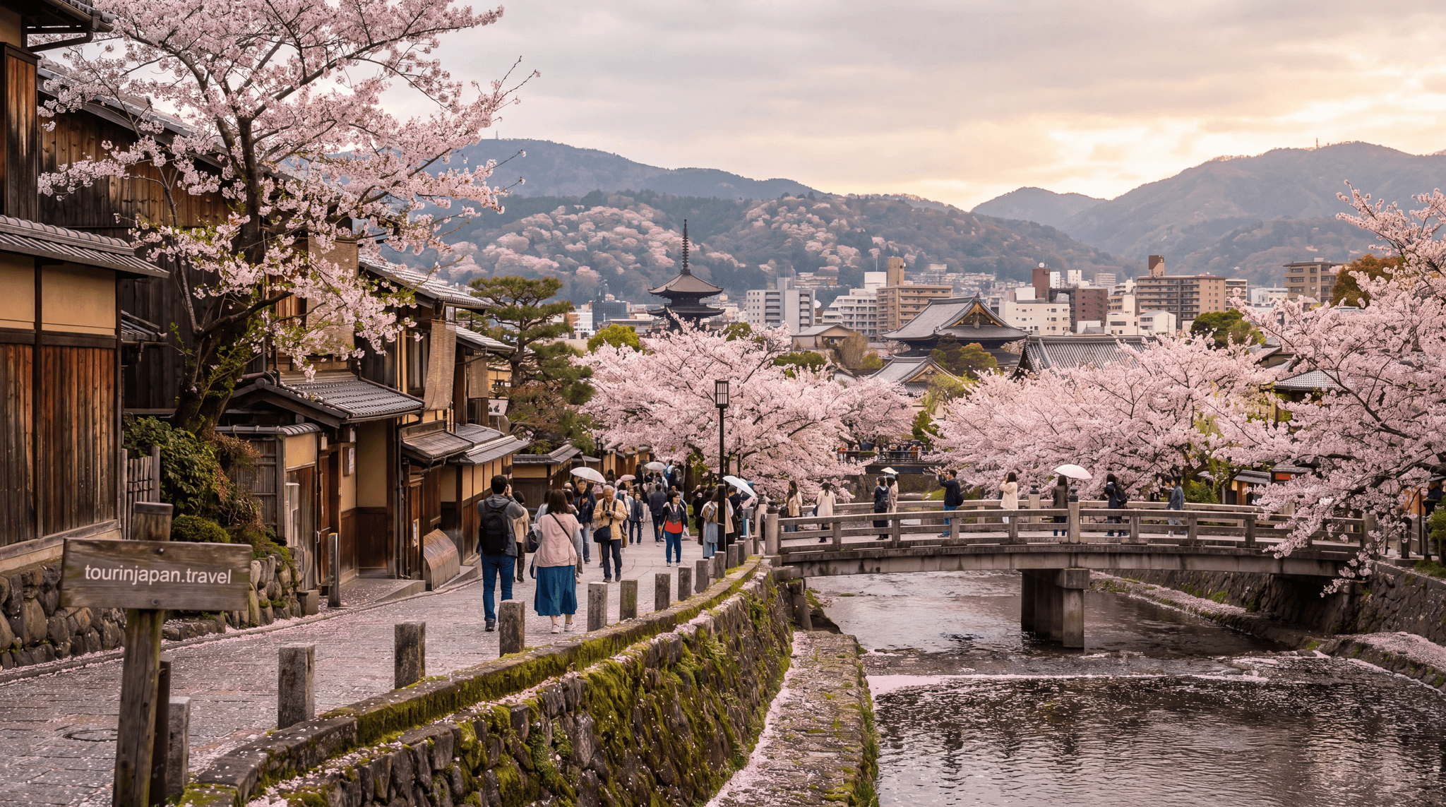 Featured image for Japan Cherry Blossom 2026 Forecast: Dates by City with discreet tourinjapan.travel mark