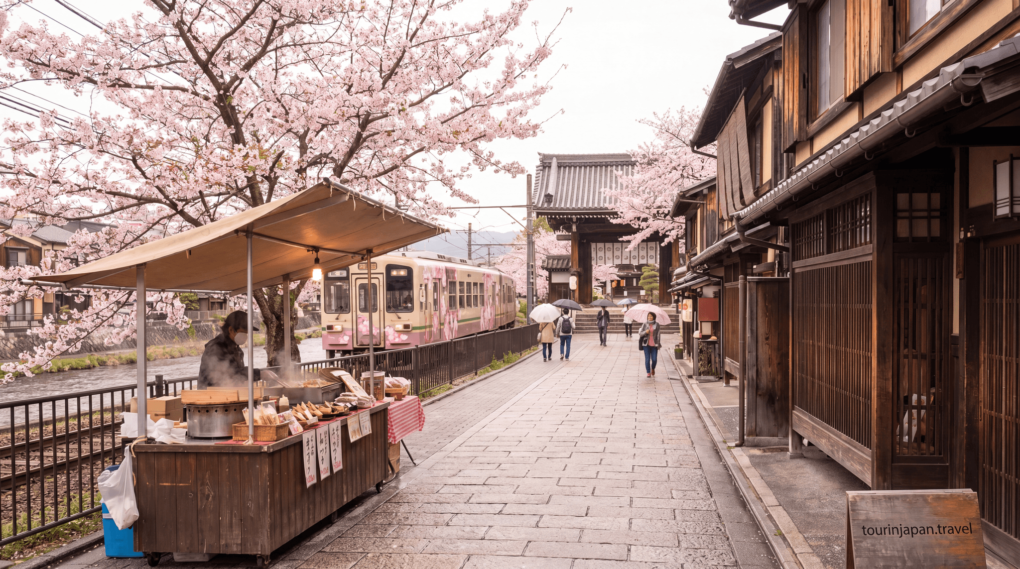 Featured image for Japan Cherry Blossom Itinerary 2026: Where to Be and When with discreet tourinjapan.travel mark