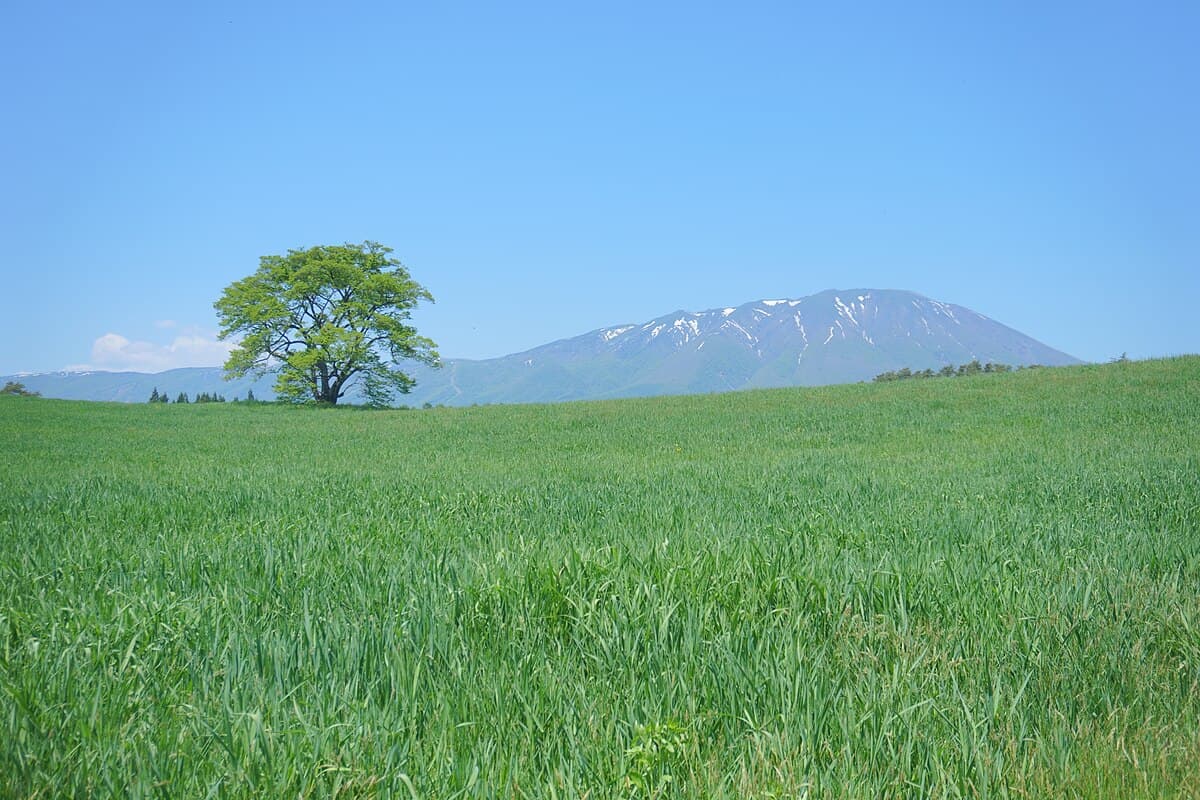 Iwate — Tour in Japan
