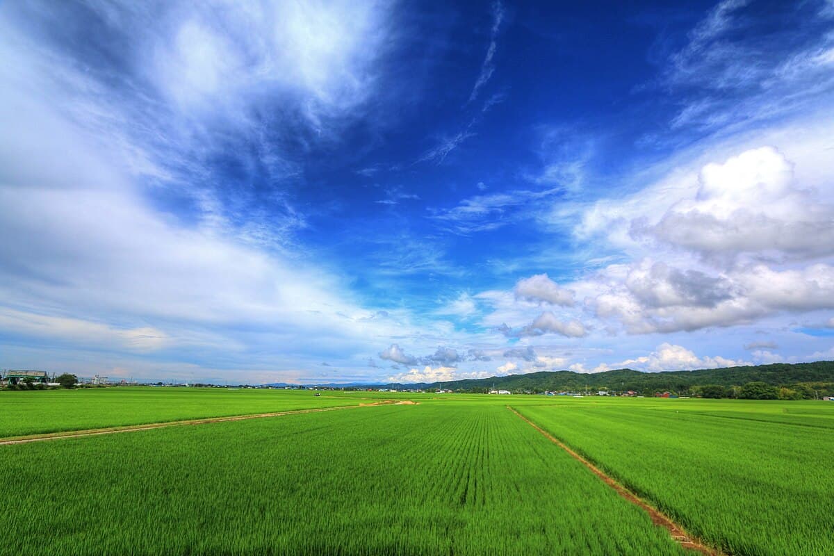 Niigata — Tour in Japan