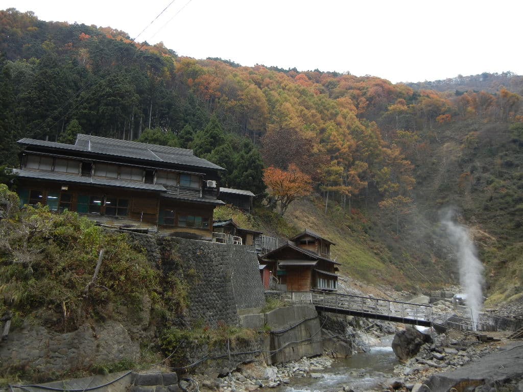 Snow monkeys, Nagano