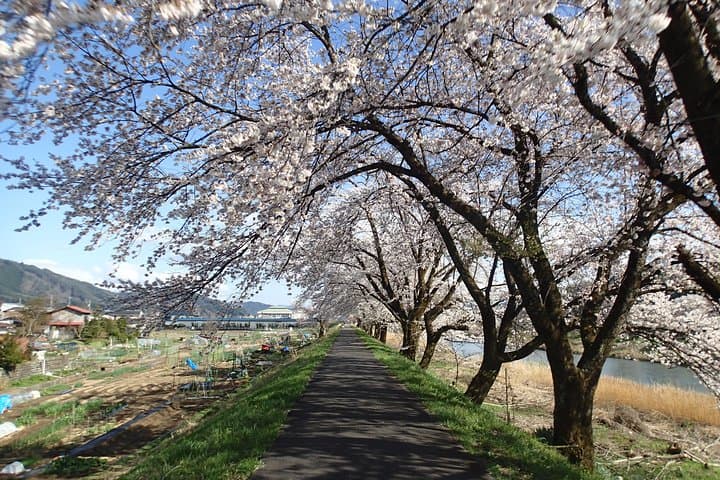 Short Morning Cycling Tour in Hida — photo 8