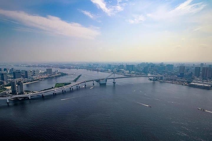 Tokyo Helicopter Tour (10-min)+ Private Car Pickup & Drop off — photo 7