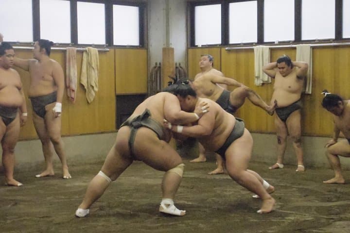 Tokyo Sumo Morning Practice Tour at Stable — photo 5