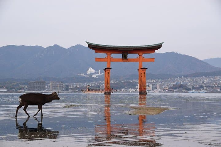 Hiroshima & Miyajima Island Customized Private Tour — photo 9
