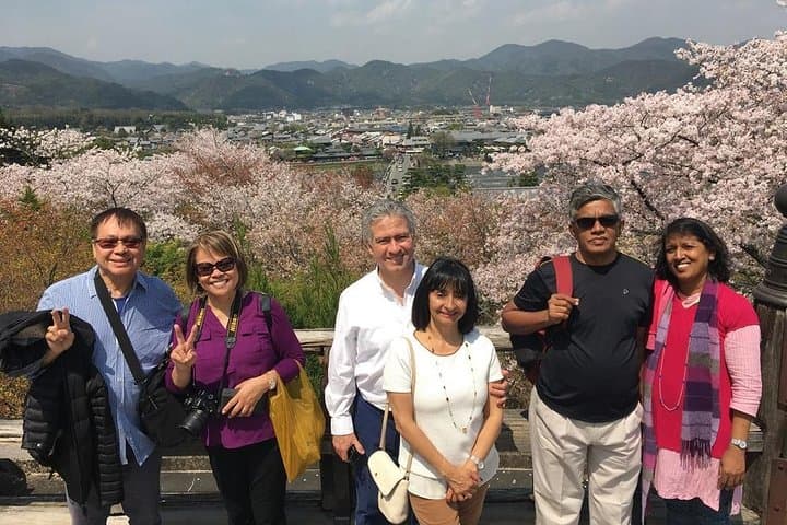 Kyoto Arashiyama Bamboo Forest & Scenery Customized Private Tour — photo 6