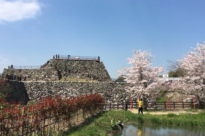 Yamato-Koriyama Castle and Goldfish Small-Group Tour from Nara — photo 7