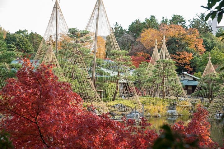 Guided Half-day Tour(AM) to Atsuta Shrine and Shirotori Garden in Nagoya — photo 2