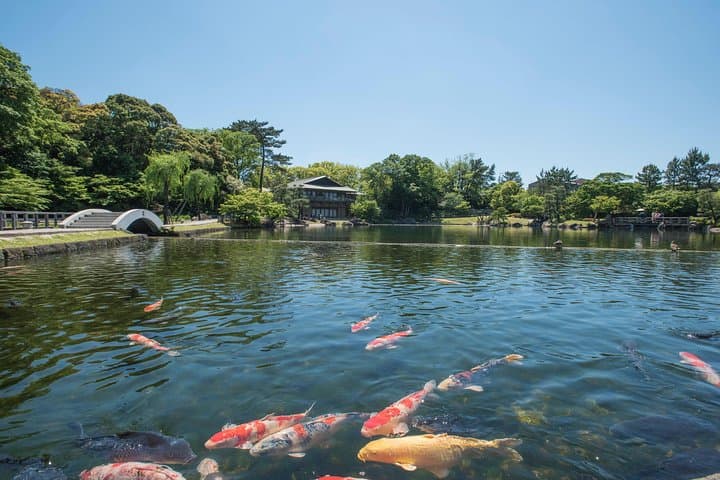 Guided Half-day Tour(AM) to Nagoya Castle & Tokugawa Museum and Garden — photo 8