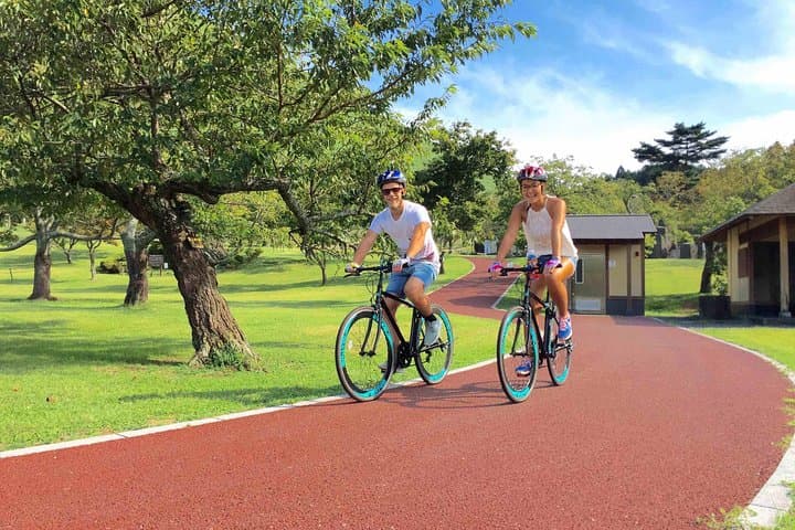 Half Day Izu Kogen Highlands Downhill Cycling Tour — photo 2
