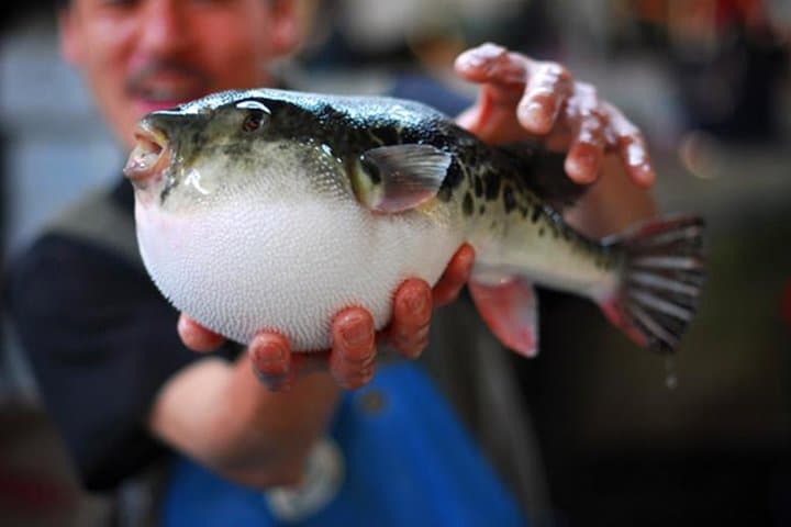 Adventurous Japanese Food Tour in Tokyo — photo 2