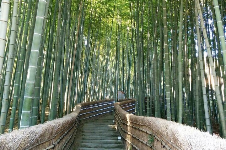 Private Highlights of Kyoto Tour — photo 1