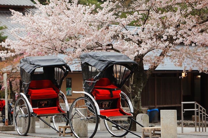 Kyoto Private Custom Tour with local expert guide + Hotel Pickup — photo 18