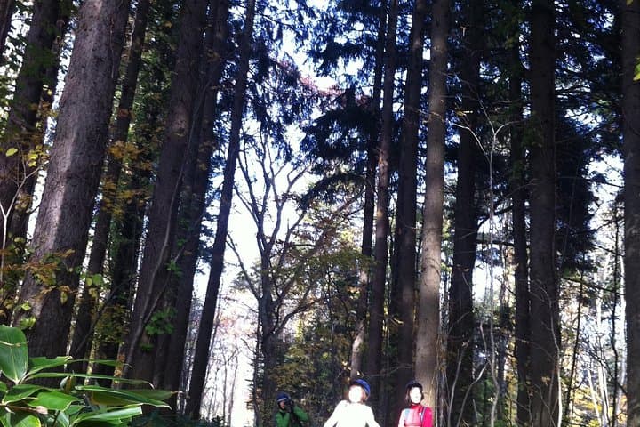 Nopporo Forest Mountain Bike Tour from Sapporo, presenting a retro Cycle cap — photo 4
