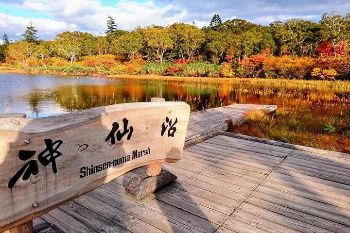 SkyExpress: Niseko Customised Private Day Tour (Up to 15 Passengers) — photo 4