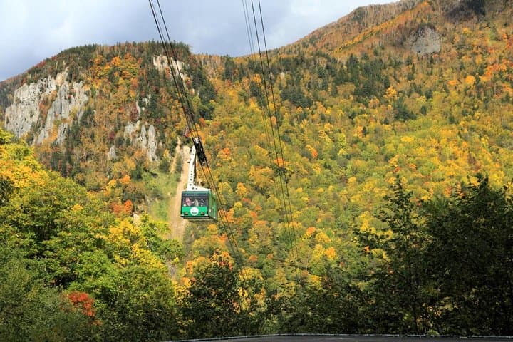 SkyExpress: Autumn Sounkyo Customised Private Day Tour (Up to 15 Passengers) — photo 2