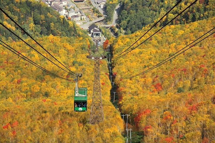 SkyExpress: Autumn Sounkyo Customised Private Day Tour (Up to 8 Passengers)