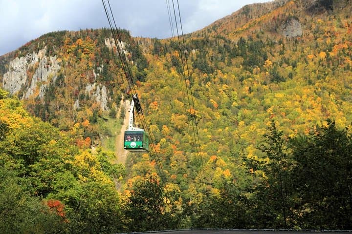 SkyExpress: Autumn Sounkyo Customised Private Day Tour (Up to 8 Passengers) — photo 2