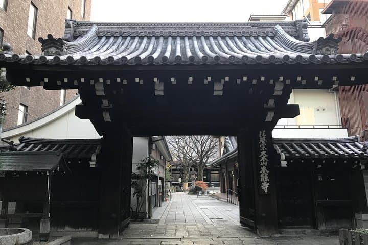 Local Osaka Day Trip with Native English Speaker in Japan 41 yrs! — photo 3