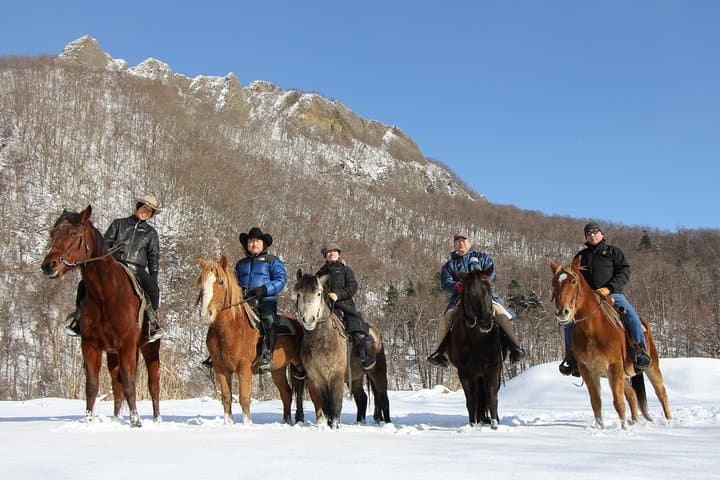 Horseback-Riding in a Country Side in Sapporo - Private Transfer is Included — photo 9