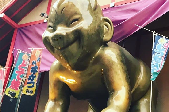 Local Osaka Day Trip with Native English Speaker in Japan 41 yrs! — photo 7