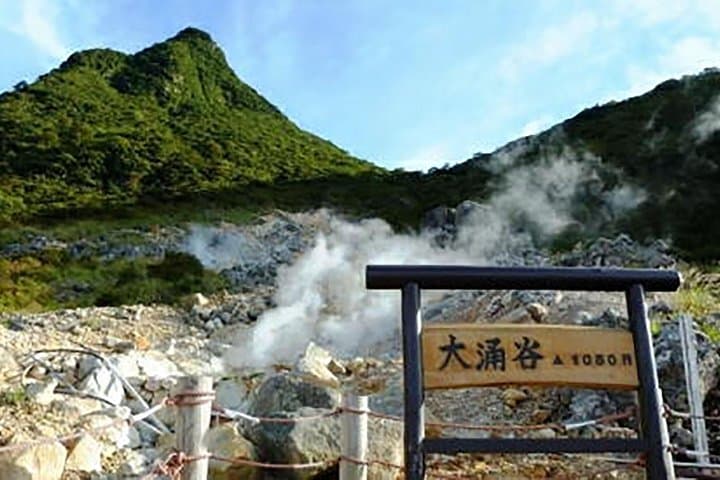 NEW Tokyo: Mt. Fuji & Hakone 6-Spot Tour (Bullet Train Return) — photo 8