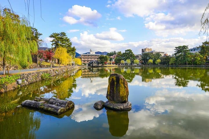 Osaka to Nara Day Trip with a Local – Private & Personalized — photo 3