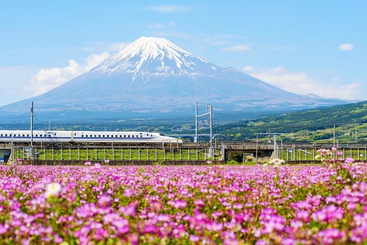 Bullet Train and Mt. Fuji Famous Food Tour — photo 1