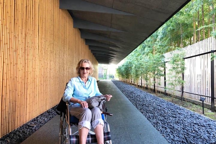 Full-Day Accessible Tour of Tokyo for Wheelchair Users — photo 14