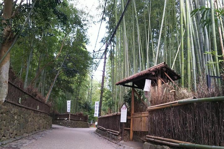 One-Day Walking Tour : Enjoy Kyoto to the fullest! — photo 7