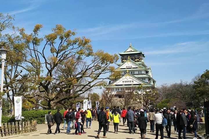 Osaka Castle & Dotonbori Lively One-Day Walking Tour — photo 5