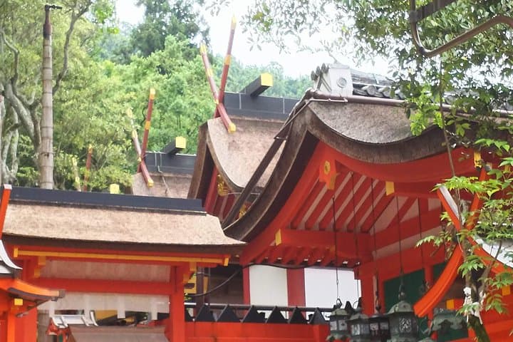 Fushimi Inari & Nara Highlights Walking Tour — photo 7