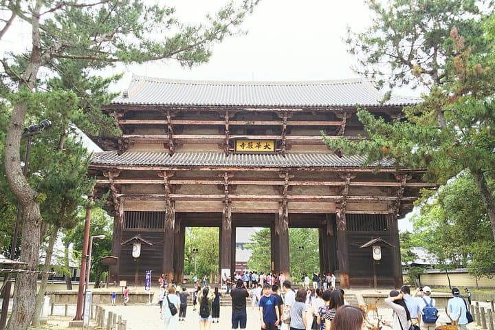 Fushimi Inari & Nara Highlights Walking Tour — photo 5