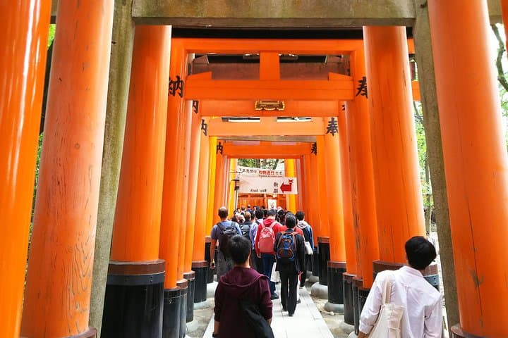 Fushimi Inari & Nara Highlights Walking Tour — photo 1