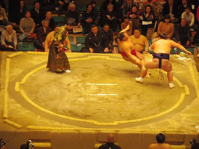 Tokyo Sumo Wrestling Tournament Experience — photo 9
