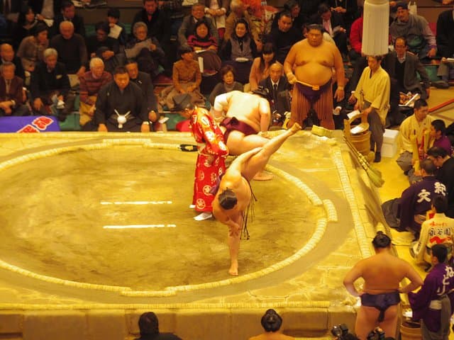 Tokyo Sumo Wrestling Tournament Experience — photo 7