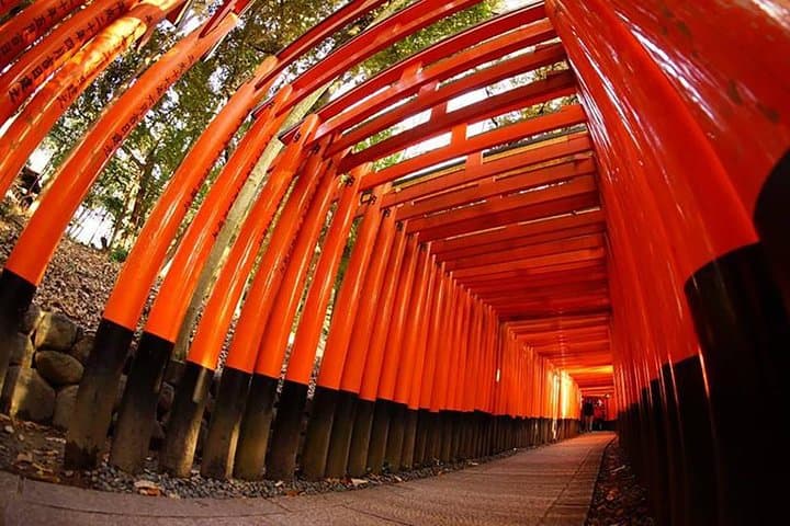 Private Kyoto Custom One Day Tour by Chartered Vehicle — photo 2