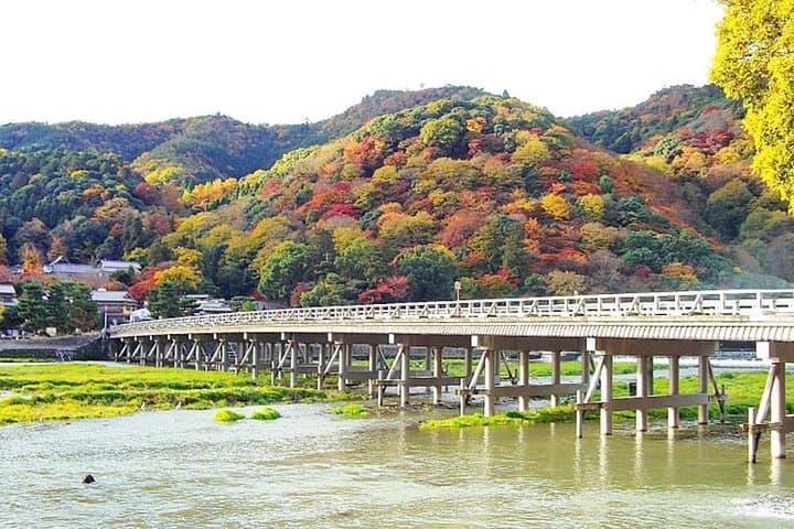 Private Kyoto Arashiyama Custom Half-Day Tour by Chartered Vehicle — photo 2