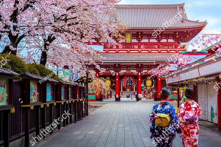 Starter tour in Tokyo _Visiting must-see spots and practical guidance — photo 2