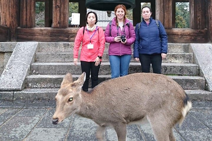 Nara Todaiji Lazy Bird Walking Tour — photo 3