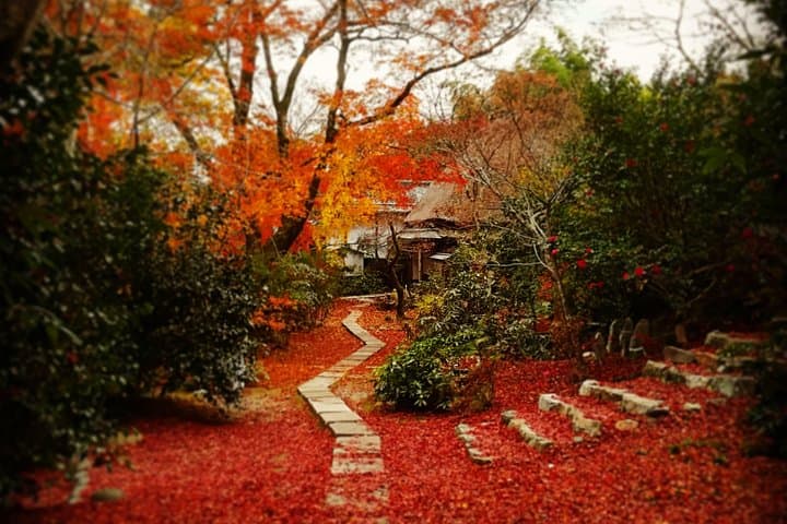 Arashiyama Bamboo Forest & Hidden Gems Bike Tour (Early Bird) — photo 13