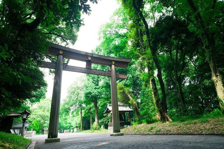 Tokyo 6hr Private Tour with Government-Licensed Guide — photo 12