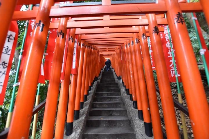 Tokyo Photogenic spots visiting tour — photo 6