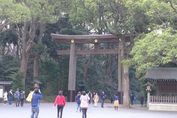 Tailored Tokyo city tour based on request — photo 10