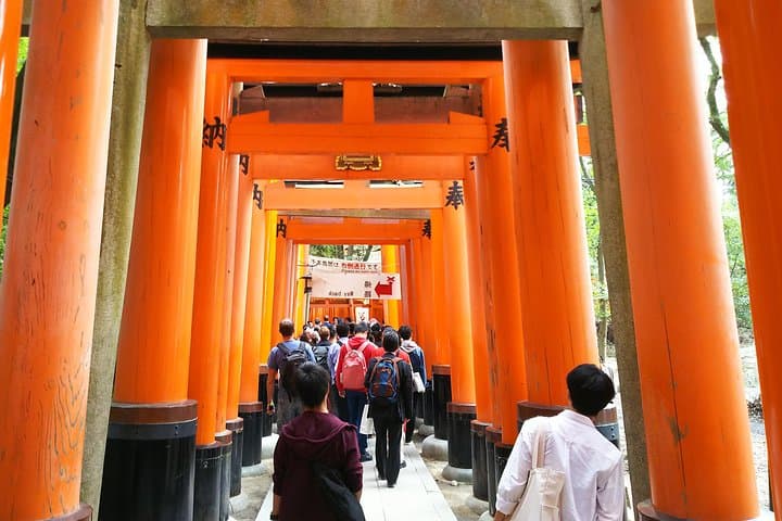 Kyoto Late Bird Walking Tour — photo 5