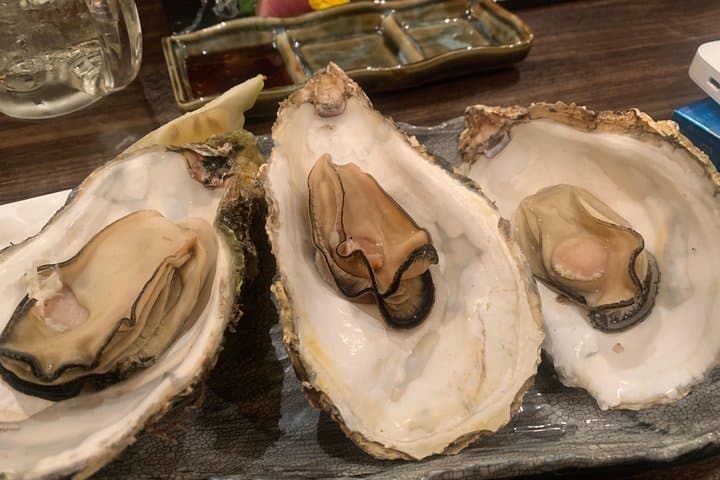 Hiroshima Izakaya Food and Drink Night Tour — photo 8