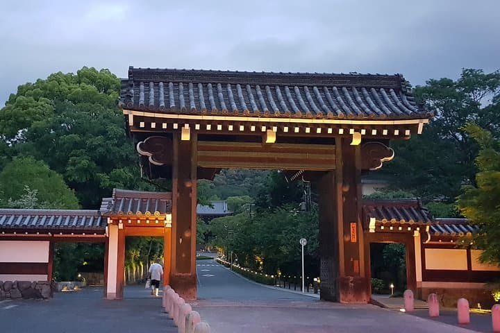 Kyoto Nighttime All-Inclusive Eats and Streets, Gion and Beyond — photo 13