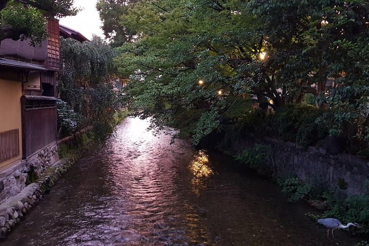 Kyoto Nighttime All-Inclusive Eats and Streets, Gion and Beyond — photo 17