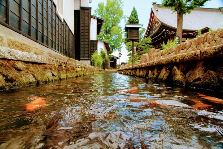 Private Tour Kanazawa, Shirakawago, Hida Furukawa,Takayama — photo 5